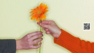 blog post, post de blog pessoal, blogs pessoais, wellas, wellas diniz, texto sobre atitudes humanas, texto reflexivo sobre atitude, texto sobre atitudes e valores, reflexão atitudes humanas, texto atitude e tudo, atitudes que fazem a diferença frases, texto para refletir sobre atitudes,