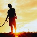 Cachorro herói salva criança perdida na floresta.